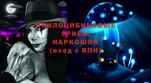 амф Богородск