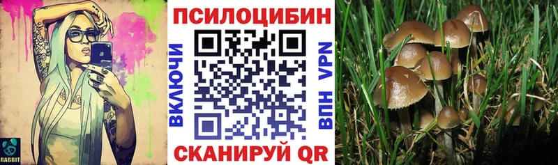 Купить закладки  Хадыженск  Галлюциногенные грибы ЛСД 